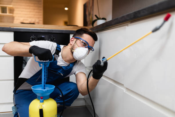 Best Ant Control Services  in Curwensville, PA