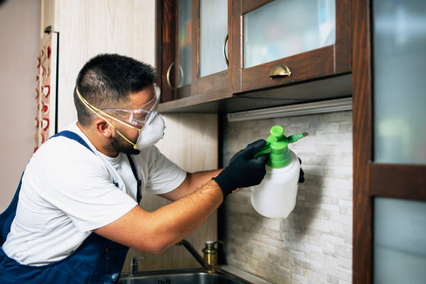 Best Pest Prevention Services  in Curwensville, PA