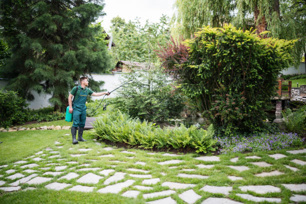 Best Commercial Pest Control Services  in Curwensville, PA