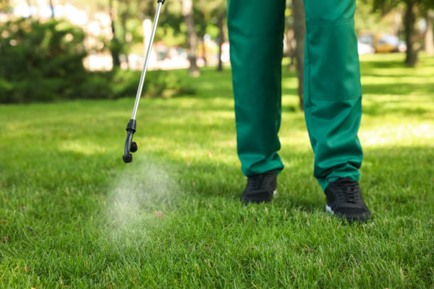 Pest Control for Restaurants in Curwensville, PA