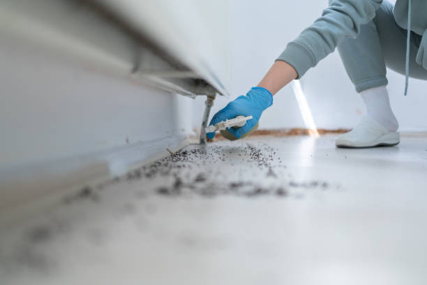 Curwensville, PA Pest Control Company