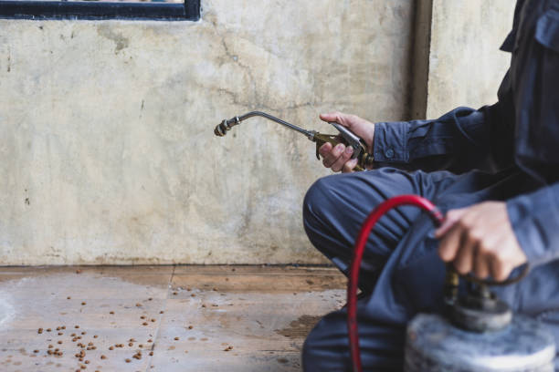 Best Local Pest Control Services  in Curwensville, PA